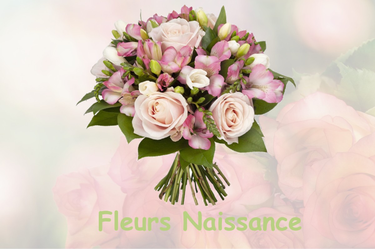 fleurs naissance NANT-LE-PETIT