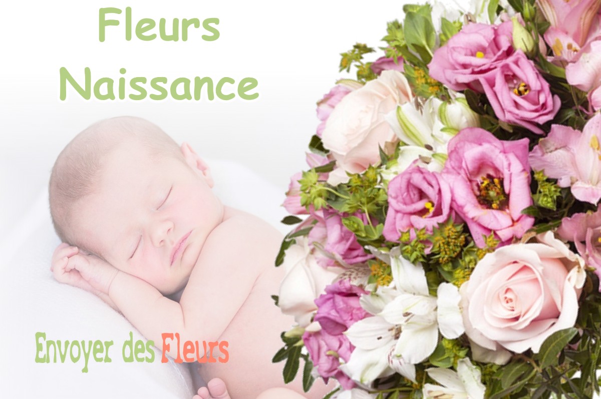 lIVRAISON FLEURS NAISSANCE à NANT-LE-PETIT