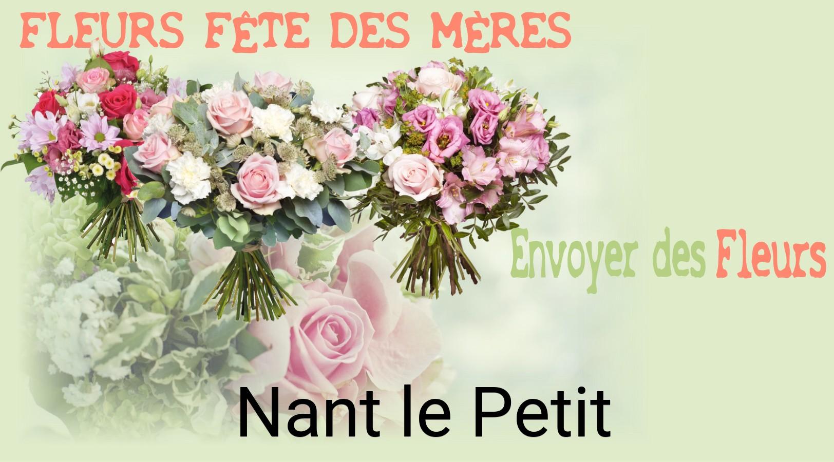 Bouquet de Fête des Mères livré à Nant-le-Petit